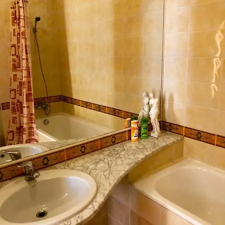 Apartment Palasta Premium *
